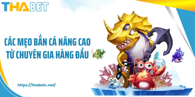 Các mẹo bắn cá nâng cao từ chuyên gia hàng đầu